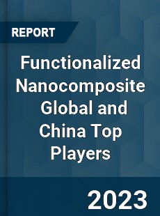 Functionalized Nanocomposite Global and China Top Players Market