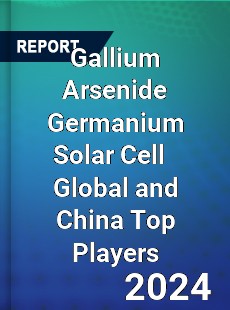 Gallium Arsenide Germanium Solar Cell Global and China Top Players Market