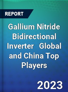 Gallium Nitride Bidirectional Inverter Global and China Top Players Market