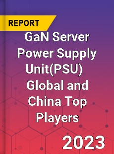 GaN Server Power Supply Unit Global and China Top Players Market