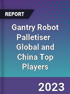 Gantry Robot Palletiser Global and China Top Players Market