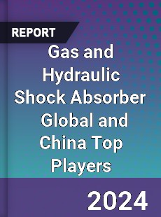 Gas and Hydraulic Shock Absorber Global and China Top Players Market