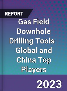 Gas Field Downhole Drilling Tools Global and China Top Players Market