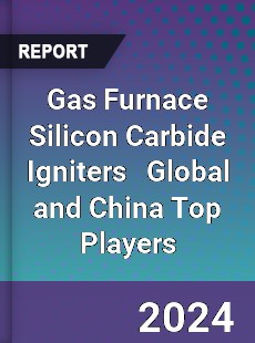 Gas Furnace Silicon Carbide Igniters Global and China Top Players Market