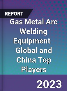 Gas Metal Arc Welding Equipment Global and China Top Players Market