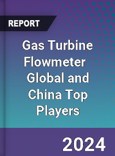 Gas Turbine Flowmeter Global and China Top Players Market