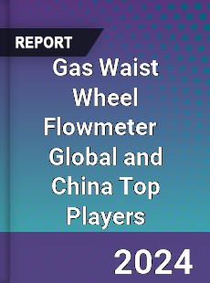 Gas Waist Wheel Flowmeter Global and China Top Players Market