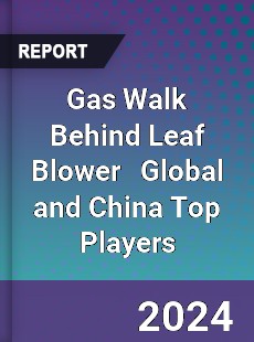 Gas Walk Behind Leaf Blower Global and China Top Players Market