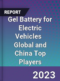 Gel Battery for Electric Vehicles Global and China Top Players Market