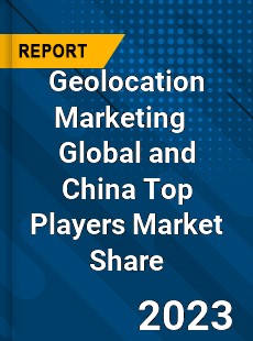 Geolocation Marketing Global and China Top Players Market Share