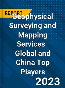 Geophysical Surveying and Mapping Services Global and China Top Players Market