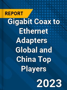 Gigabit Coax to Ethernet Adapters Global and China Top Players Market