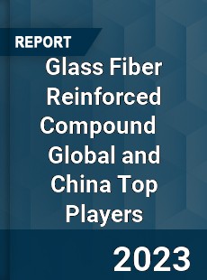 Glass Fiber Reinforced Compound Global and China Top Players Market