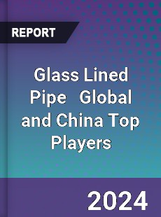 Glass Lined Pipe Global and China Top Players Market