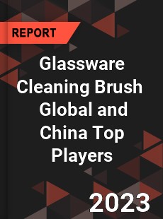 Glassware Cleaning Brush Global and China Top Players Market