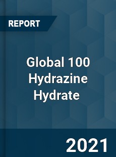 Global 100 Hydrazine Hydrate Market