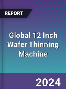 Global 12 Inch Wafer Thinning Machine Industry