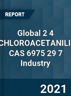 Global 2 4 DICHLOROACETANILIDE CAS 6975 29 7 Industry