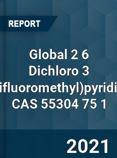 Global 2 6 Dichloro 3 pyridine CAS 55304 75 1 Industry