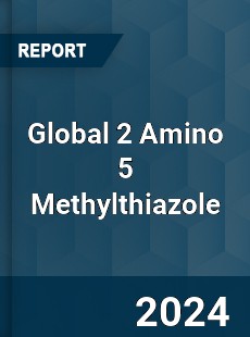 Global 2 Amino 5 Methylthiazole Market