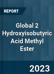 Global 2 Hydroxyisobutyric Acid Methyl Ester Industry