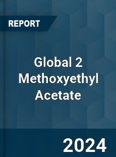 Global 2 Methoxyethyl Acetate Industry