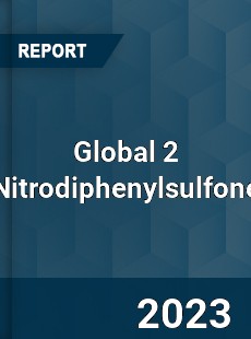 Global 2 Nitrodiphenylsulfone Industry