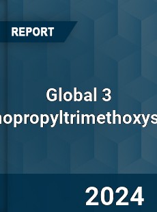 Global 3 Aminopropyltrimethoxysilane Industry