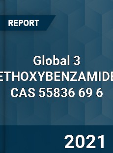 Global 3 ETHOXYBENZAMIDE CAS 55836 69 6 Industry