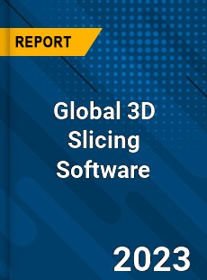 Global 3D Slicing Software Industry