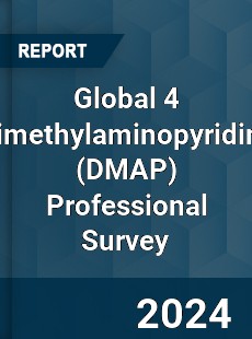 Global 4 Dimethylaminopyridine Professional Survey Report