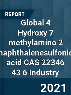 Global 4 Hydroxy 7 methylamino 2 naphthalenesulfonic acid CAS 22346 43 6 Industry