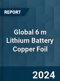 Global 6 m Lithium Battery Copper Foil Industry