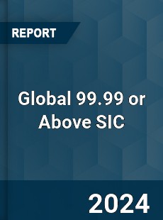 Global 99 99 or Above SIC Industry