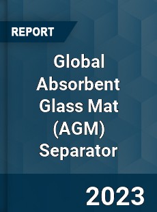 Global Absorbent Glass Mat Separator Industry