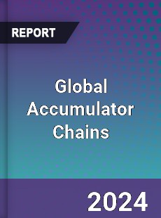 Global Accumulator Chains Industry