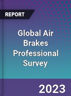 Global Air Brakes Professional Survey Report