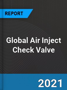 Global Air Inject Check Valve Industry