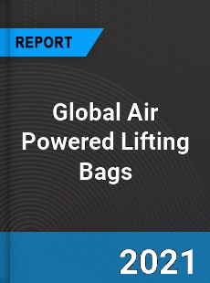 Global Air Powered Lifting Bags Industry