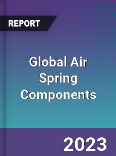 Global Air Spring Components Market