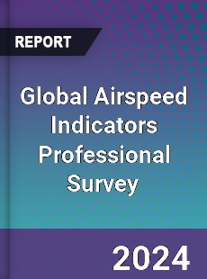 Global Airspeed Indicators Professional Survey Report