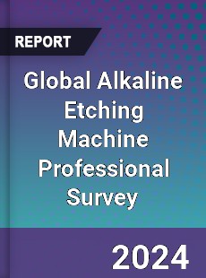 Global Alkaline Etching Machine Professional Survey Report