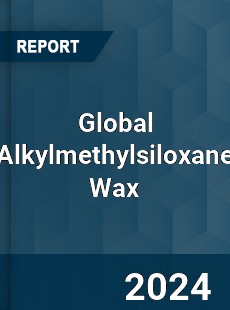 Global Alkylmethylsiloxane Wax Industry