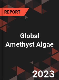 Global Amethyst Algae Industry