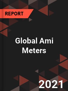 Global Ami Meters Market