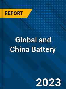 Global and China Battery Industry