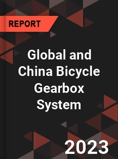 Global and China Bicycle Gearbox System Industry