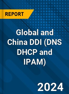 Global and China DDI Industry
