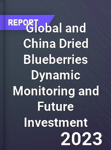 Global and China Dried Blueberries Dynamic Monitoring and Future Investment Report