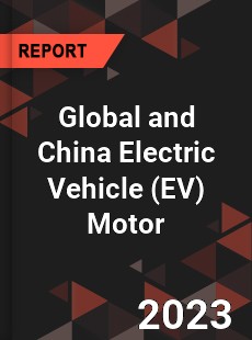 Global and China Electric Vehicle Motor Industry